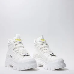 BUFFALO ASPHA NC MID